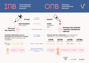 Поліомієліт – гостре інфекційне захворювання
